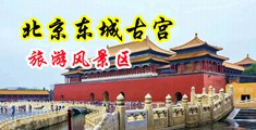 欧中日的男生机巴插女生的逼的逼的网站中国北京-东城古宫旅游风景区